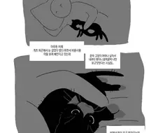 누워 있을때 고양이 루틴 .manwha