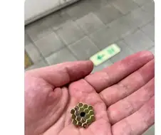 "그 배지 정말 멋지네요"