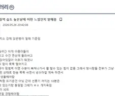 김세의 여름에 구속되서 큰일난 이유.jpg