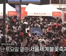 불꽃축제 일뽕 아줌마 ㄷㄷㄷㄷㄷ