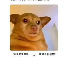통장에 하루 100만원씩 꽂히기 vs