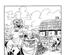 원피스) 알고 보면 슬픈 표지