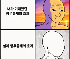 한 짤로 보는 항우울제의 효과