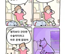 정관수술 잘 마친 manhwa