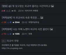 피규어 팬티짤이 불러일으킨 나비효과