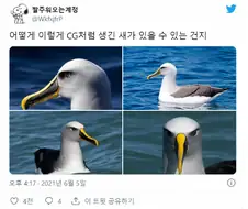 텍스쳐 로딩이 덜 된 것 같은 새