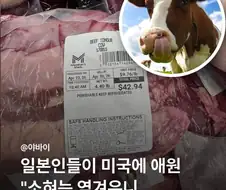 어떻게든 국가기밀 유출을 막으려는 일본