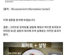 토마토: 그동안 너희를 속여왔던 거짓말에 대해 밝힌다.