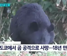 나 담주에 일본간다고...
