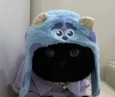 만화에 나올법한 검냥이