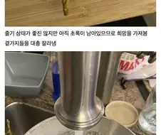 마트에서 사먹은 포도가 맛있어 번식해보았다