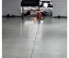 만화에서나 보던 차 구멍