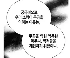 무공을 익히는 이유는 악독한 자들을 제압하기 위함이다