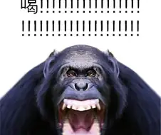솔직히 유능한 독재가 가장 위험한게