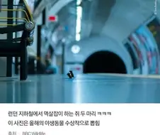 친구 : 너가 런던에 오면 잘 될 거라고 했잖아!