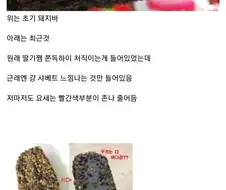 초창기 대비 가장 맛탱이 간 아이스크림