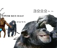 유희왕) 마듀 갤 침팬지 만화