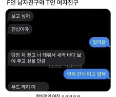 F남친과 T여친