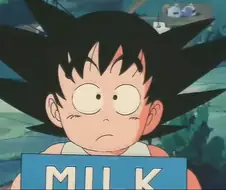 드래곤볼) 무천도사가 가르친 것