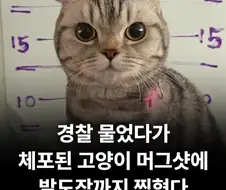 경찰을 공격한 흉악한 범죄자