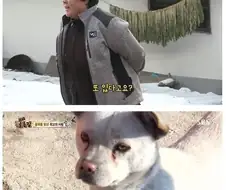 동물농장 역사상 가장 성공한 수컷