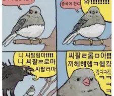 한때 중국어 전공자들 공감