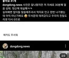 소심한 댕댕이 입양 후기