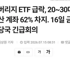 주식) 레버리지 ETF 급락, 2030 파산 계좌가 전체 62% 차지 ㄷㄷㄷ