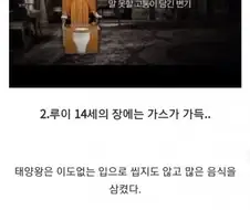 약혐) 오싹오싹 루이 14세의 비밀들