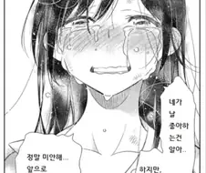 의외로 왜곡인 짤