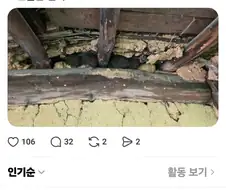 집에 밤송이 박아둔 이유.jpg