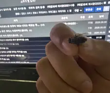 오오 방바닥에서 수명 다해서 뒤진 파리 발견