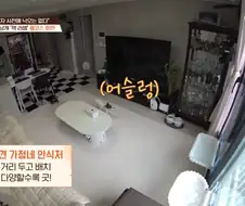 강형욱도 모르는 반려견 제품