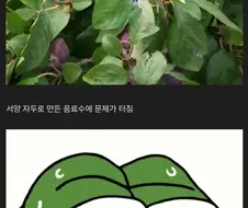 (위험아님) 큰 사고 터진 중국항공사
