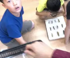세상을 어지럽히는 마왕과 그의 악행을 막아낼 용자의 등장