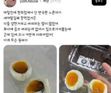 회사 알러지 있는 계란