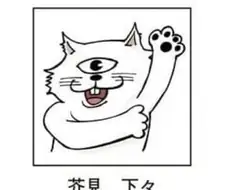 원피스 앵무새 떡밥에서 가장 불쌍한 인물