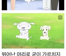 만화 애완동물 사상 GOAT