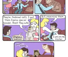 고양이가 이러면 어땠을 거 같음?