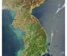 이새끼들이 진짜광기 죽음의 상인임