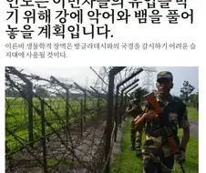 인도, 방글라데시 국경 경비를 위해 악어와 독사 투입