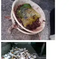 야만과 낭만이 공존하던 시절 .jpg
