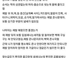 역대급 명언글을 남긴 물갤.jpg