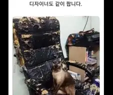 디자이너 의자 팝니다