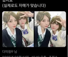 @)온리전 나나쿠사 자매 코스프레의 진실