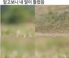 모두가 아니라고 햇지만 내말이 맞았음의 반대 버전