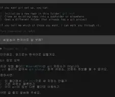 LLM CLI가 영어로 지껄일때 참교육법