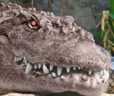 manhwa.신의 탑 완결편