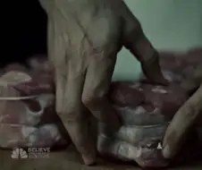 시신 처리할 때 안 들킬 확률이 높은 자