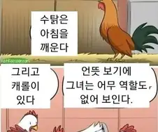 닭들이 신비감을 느끼는 만화